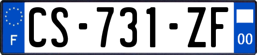 CS-731-ZF