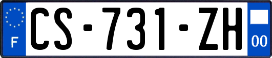 CS-731-ZH