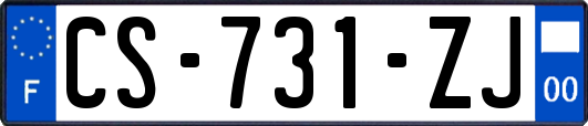 CS-731-ZJ