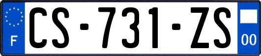 CS-731-ZS