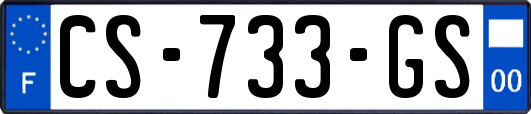 CS-733-GS