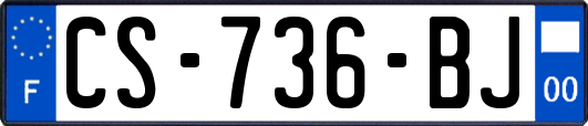 CS-736-BJ