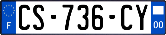 CS-736-CY