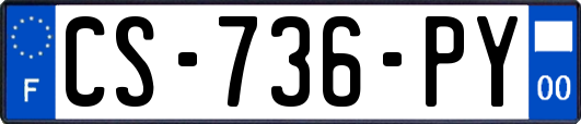 CS-736-PY