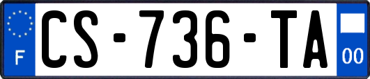 CS-736-TA