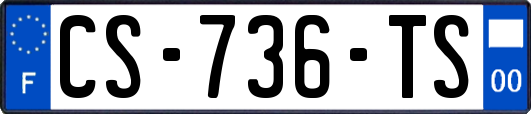 CS-736-TS