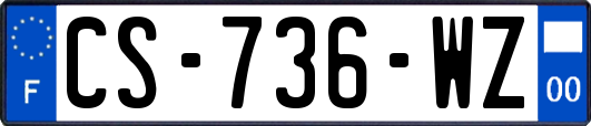 CS-736-WZ