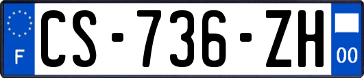 CS-736-ZH