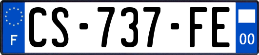 CS-737-FE