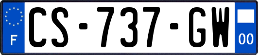 CS-737-GW