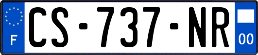 CS-737-NR