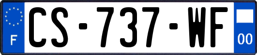 CS-737-WF