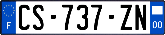 CS-737-ZN