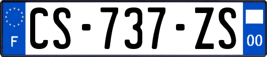 CS-737-ZS