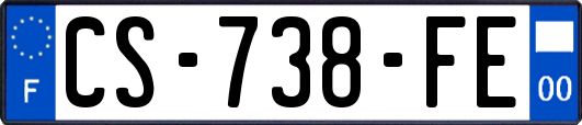 CS-738-FE