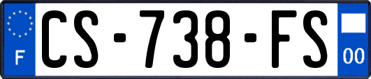 CS-738-FS