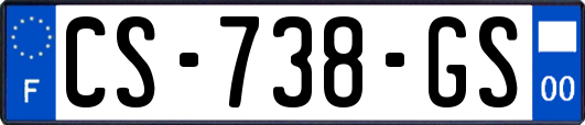 CS-738-GS