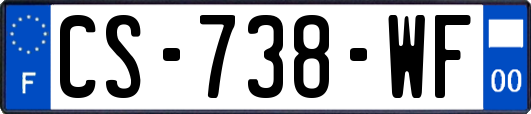 CS-738-WF