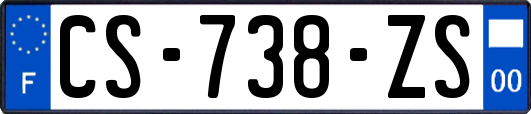 CS-738-ZS