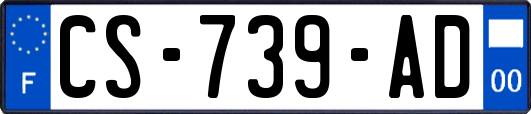 CS-739-AD