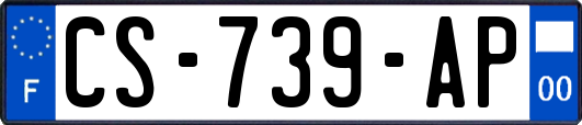 CS-739-AP