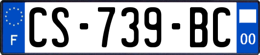 CS-739-BC