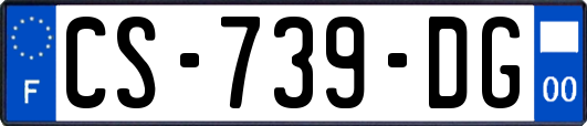 CS-739-DG