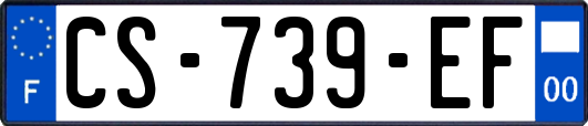 CS-739-EF
