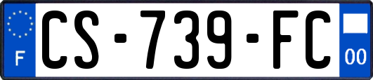 CS-739-FC