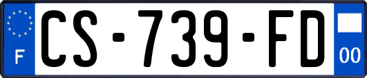 CS-739-FD