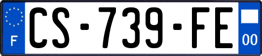 CS-739-FE