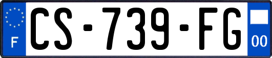 CS-739-FG