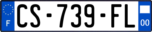 CS-739-FL