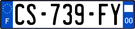 CS-739-FY