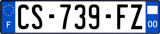 CS-739-FZ