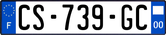 CS-739-GC