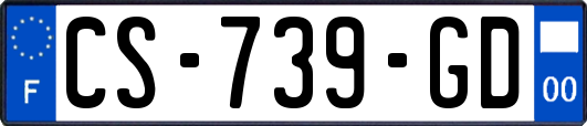 CS-739-GD