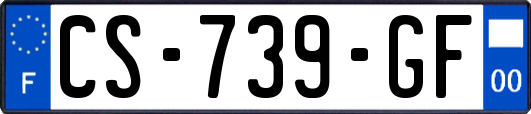 CS-739-GF
