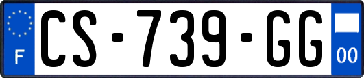 CS-739-GG
