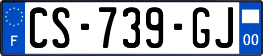 CS-739-GJ