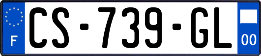CS-739-GL