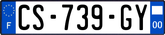 CS-739-GY
