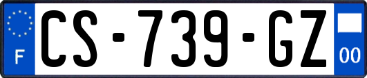 CS-739-GZ