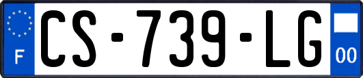 CS-739-LG