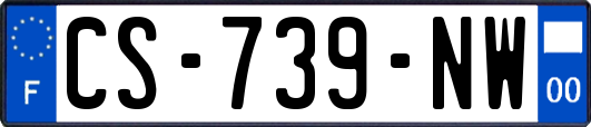 CS-739-NW