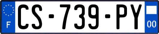 CS-739-PY