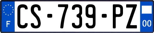 CS-739-PZ