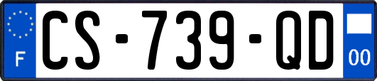 CS-739-QD
