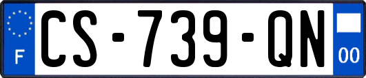 CS-739-QN