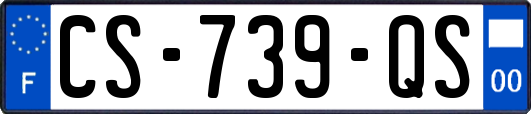 CS-739-QS